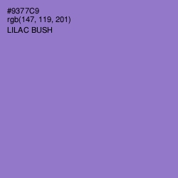 #9377C9 - Lilac Bush Color Image